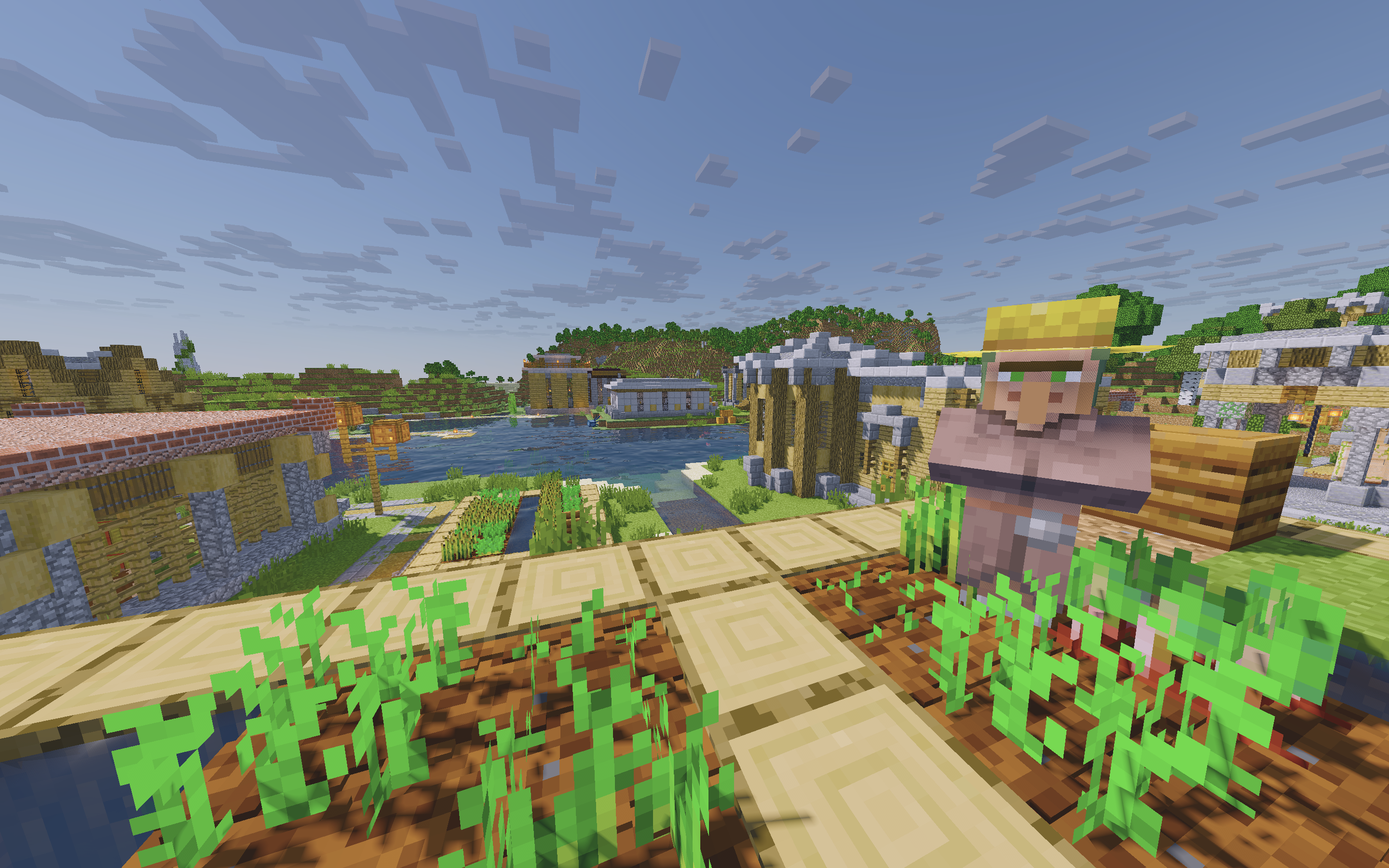 Preview del servidor